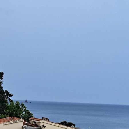 Apartmán The Four Fish Petrovac Exteriér fotografie